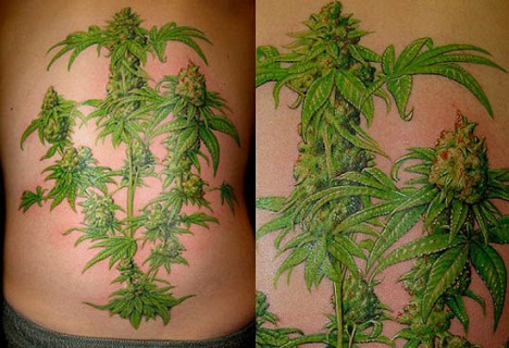 Diseños de tatuajes de marihuana en la espalda completa