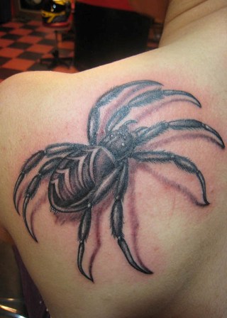 Disegni del tatuaggio 3D del ragno tribale