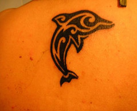 Tatuaje tribal delfín para chicas jóvenes
