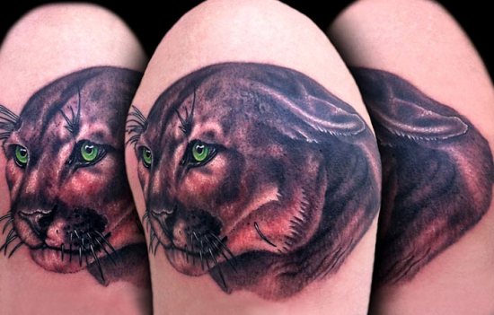 Tatuaggio Testa Di Gatto