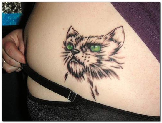 Tatuaggio sullo stomaco del gatto
