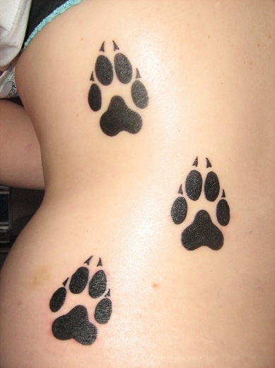 Tatuaggio di disegno della zampa di gatto