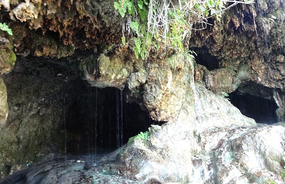 Lugares turísticos de Robber's Cave dehradun