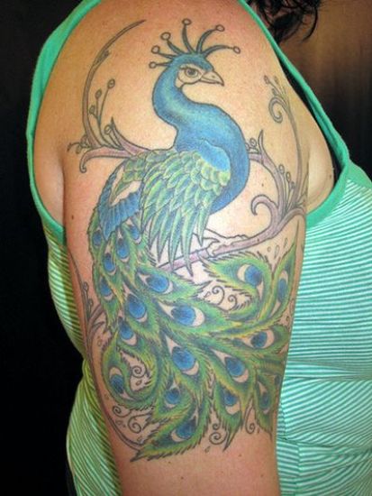 Tatuaje de pluma azul pavo real para niña