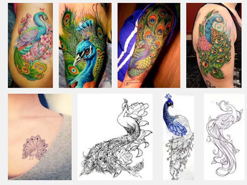 diseños de tatuajes de pavo real