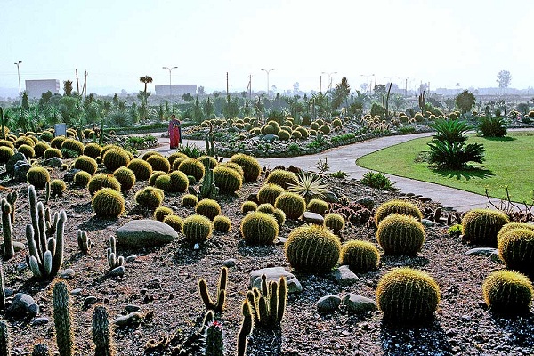 cactus-garden_chandigarh-lugares-turísticos