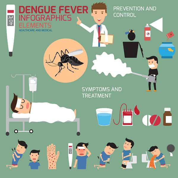 Infografía de fiebre del dengue