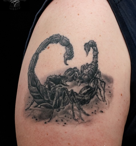 I tatuaggi dello scorpione combattente sulle maniche
