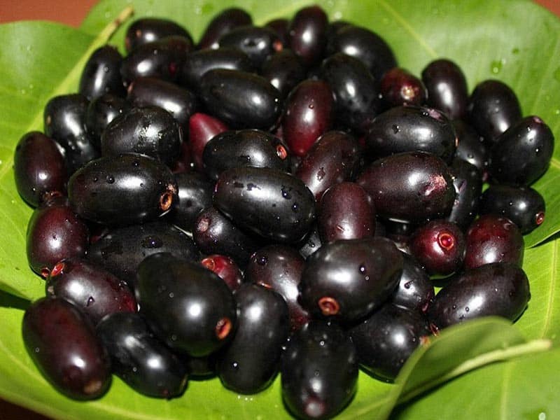Beneficios de la fruta Jamun