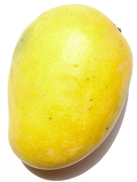 benefici del frutto di mango