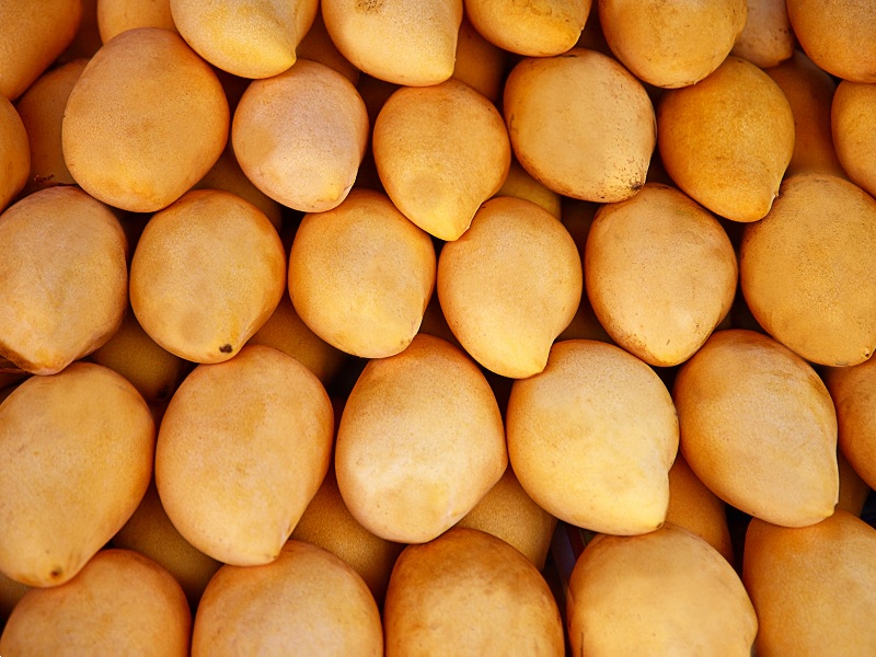 benefici per la salute dei manghi