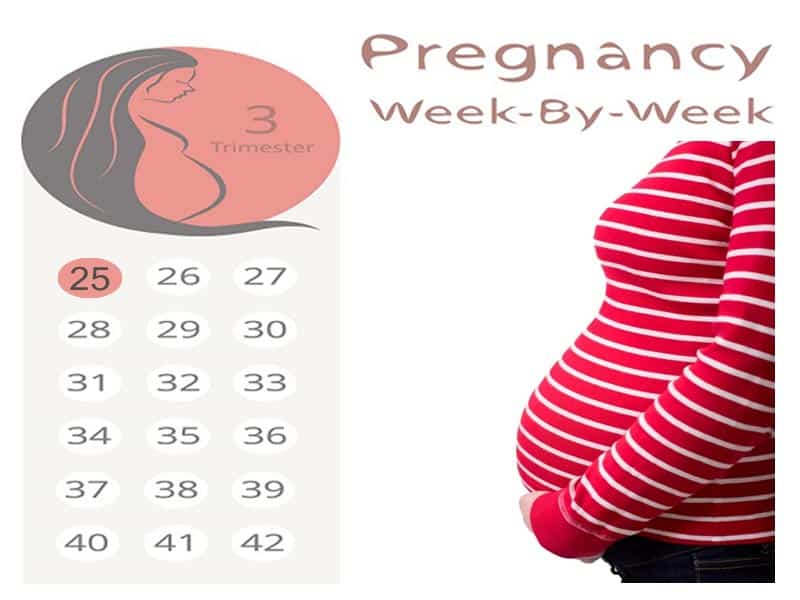 25 settimane di gravidanza