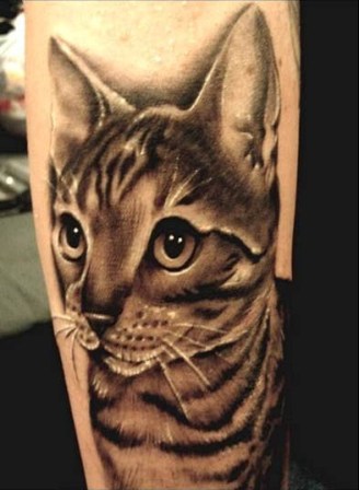 gato animal tatuaje