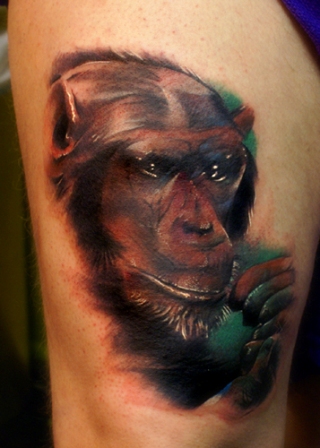 Tatuajes De Animales Chimpancé