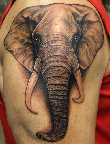 Tatuaje animal elefante