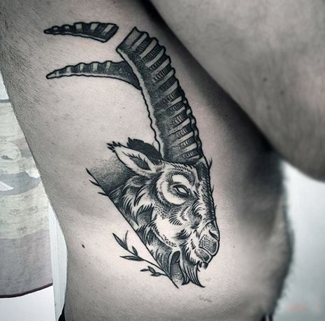 Tatuajes De Animales