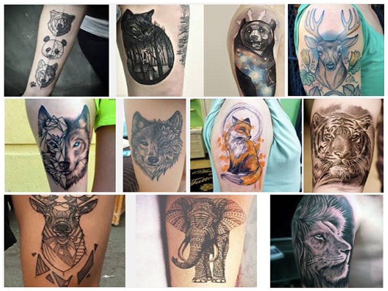 Los mejores diseños de tatuajes de animales y amp; Sus significados