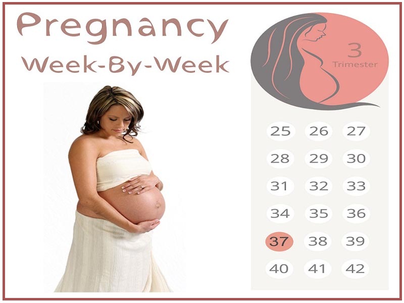 37a settimana di gravidanza