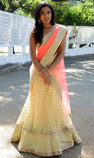 Metà e metà Sari con ricamo color pesca e bianco sporco