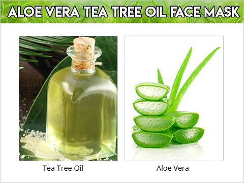 Mascarilla facial de aloe vera y aceite de árbol de té