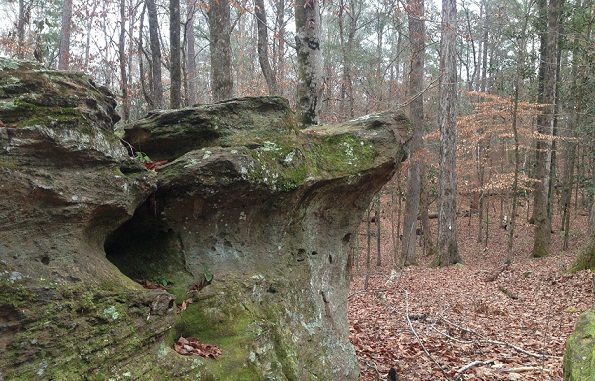 Bosque Nacional Tuskegee, Alabama