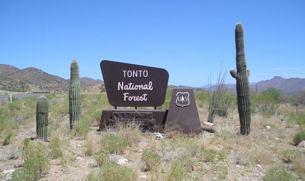 Famoso bosque Camping Grounds-Tonto National Forest, Arizona