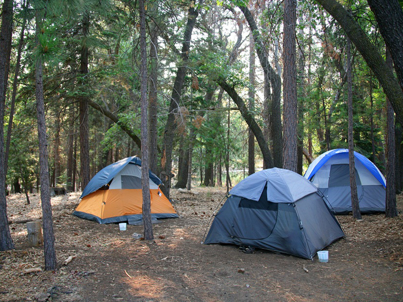 campamentos forestales