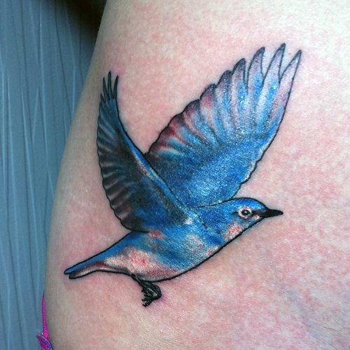 Sentir Ave Azul Tatuaje