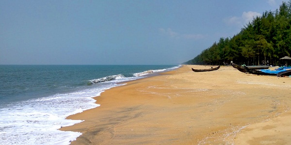Spiagge di Kochi