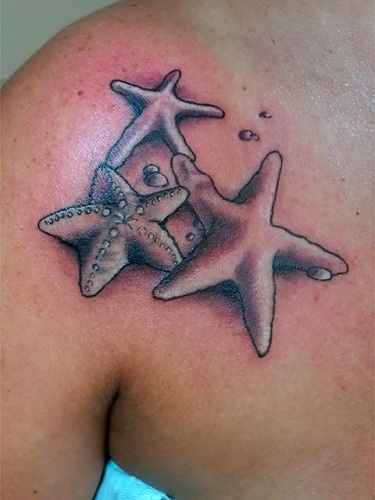 Manojo de tatuaje de estrella de mar