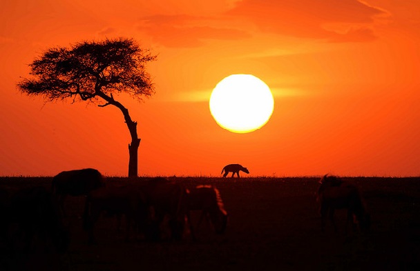 masai-mara-sunset_kenya-luoghi-turistici
