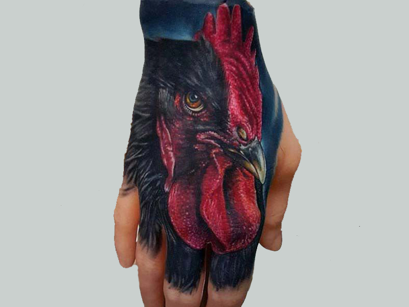 Disegni, idee e significato del tatuaggio del gallo