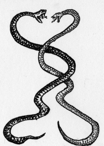 Un romantico serpente intrecciato tatuaggio