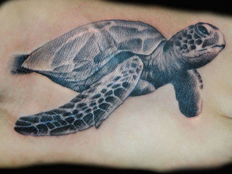 Significato, disegni e idee dei tatuaggi di creature marine