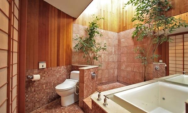 אמבטיה אסיה אמבט אמבט עציצים צמחים
