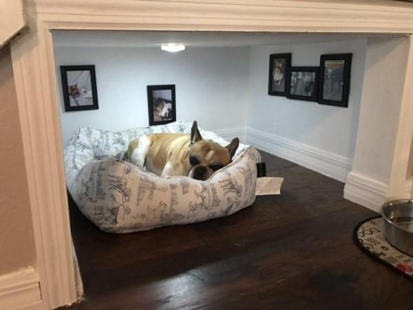 מיטה לחדר המדרגות לכלבים