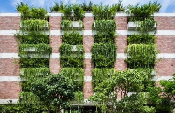 עיצוב ביופיליה ביופילי טרנדים חיים ארכיטקטורת חיים 2020