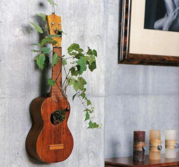רעיונות לקישוט DIY בעציץ צמחי גיטרה