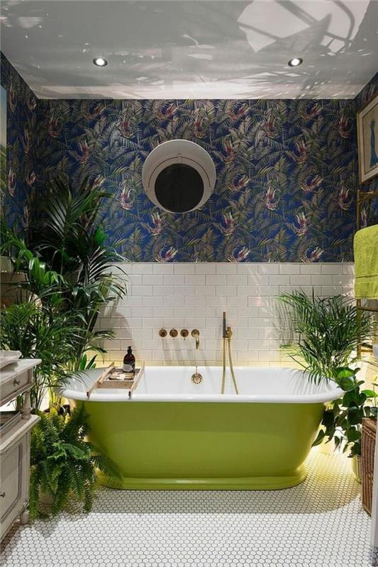 צמחי בית באמבט ירוק באמבט פנג שואי
