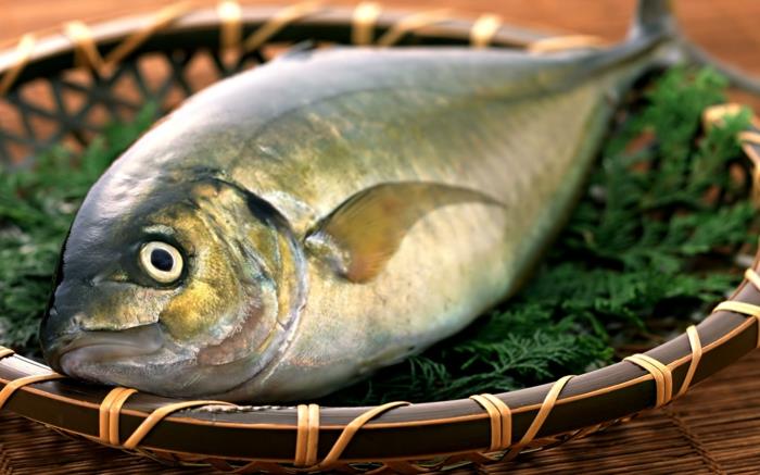 הכנת דגים בשר טרי מתכוני דגים ותבשיל לתפוס