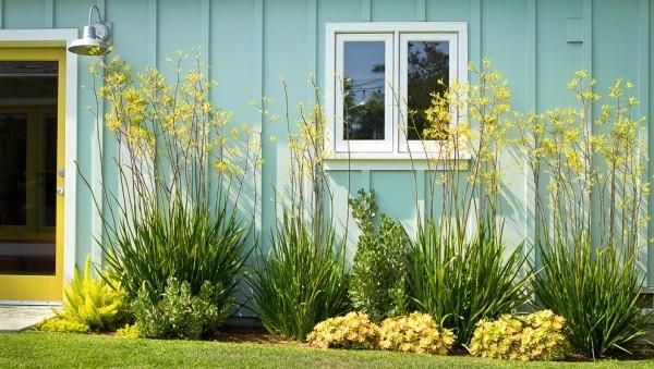 הפוך את המוסך שלך למראה אטרקטיבי עם צמחים בשרניים דשא נוי שרך זנב שועל