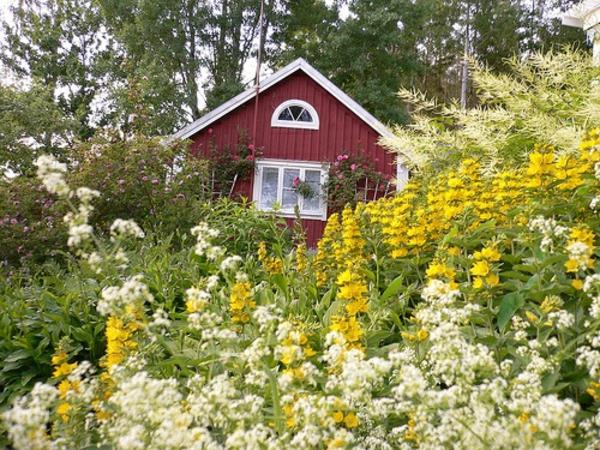 בית גינה בצמח צהוב בסגנון שוודי