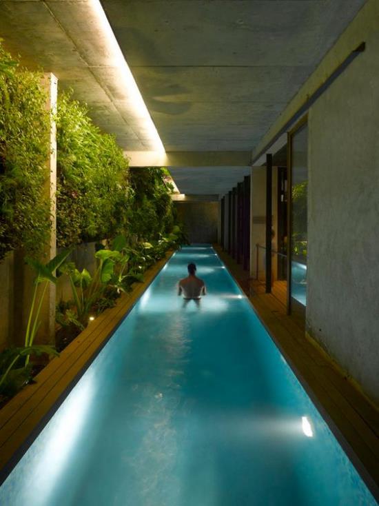 בריכת שחייה מקורה בבית צורה מוארכת גבר במים תאורה עמידה בלחות הרבה צמחים ירוקים כשרון טרופי