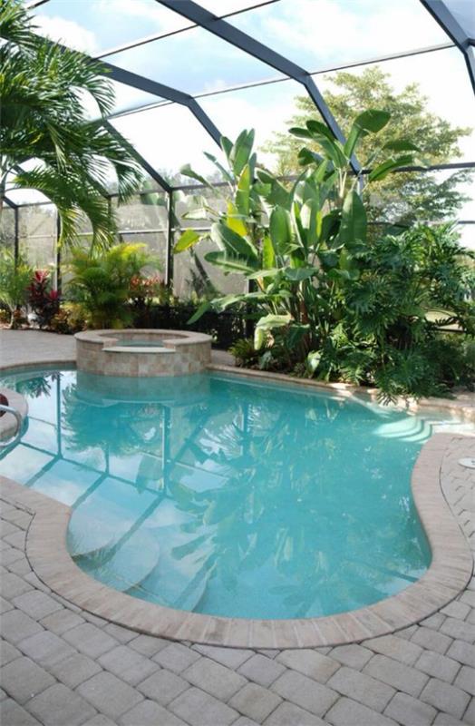 בריכת שחייה מקורה בבית אגן ספא עגול ג'קוזי צמחים ירוקים רבים כשרון טרופי
