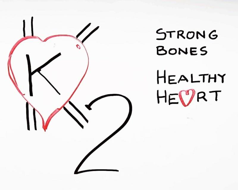 עצמות ויטמין K2 אנושי בריאות עצמות חזקות