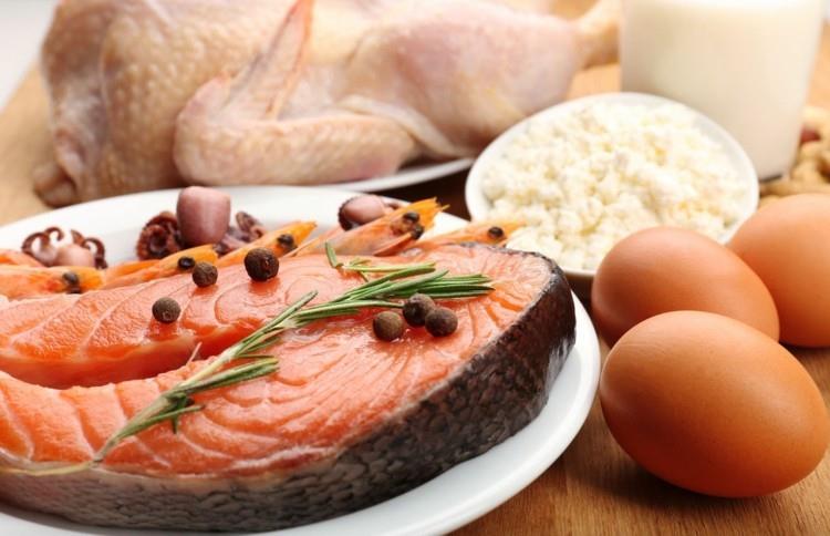מזונות עתירי חלבון דיאטה חלבון דגים