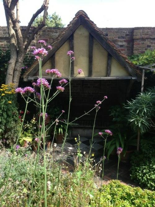 חזית עיצוב גן עיר אנגלית קסומה פרחים סגולים