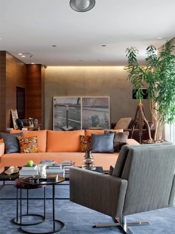 סלון מודרני גברי ואלגנטי, ספה בהירה ומזמינה בצבע אפרסק