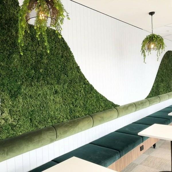 עיצוב מוס קיר קיר ביובליה ירוק קיר קיר מוס עצמו עושה גלים