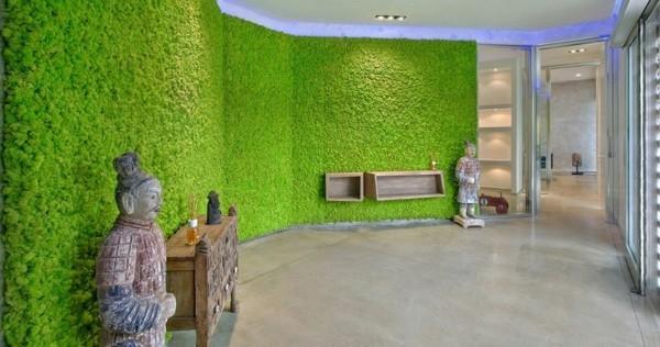 עיצוב קיר ביוספיה קיר ירוק יוצר אווירה של זן